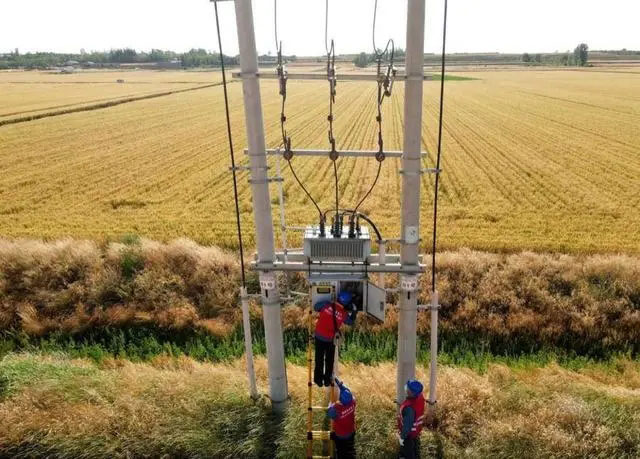 配電箱助力“電力?！报D農(nóng)民有了“電力?！碑a(chǎn)業(yè)發(fā)展質(zhì)效